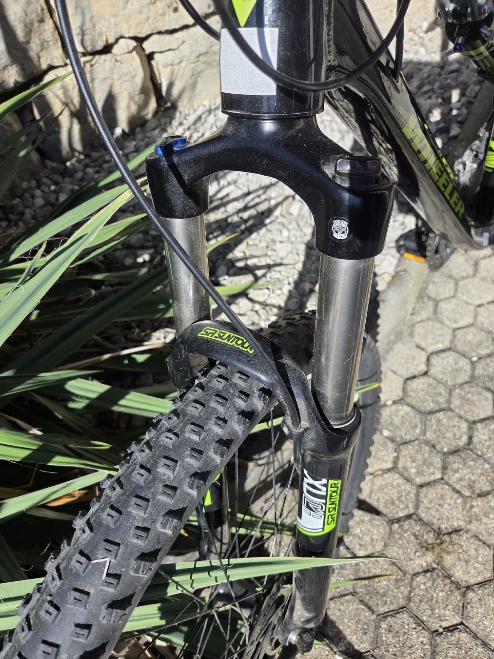 Wheeler Velos: MTB Wheeler Tiger 12 – Gebraucht aus Tenniken von Mrsush 3