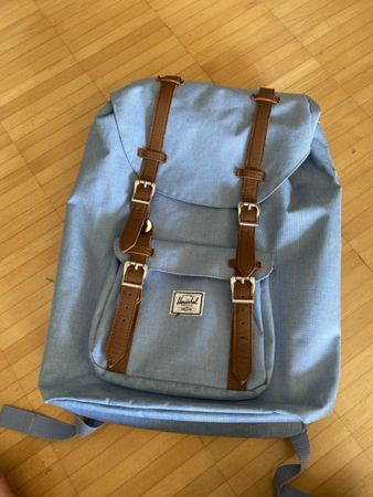 Herschel Rucksack hellblau Leder Details guter Zustand
