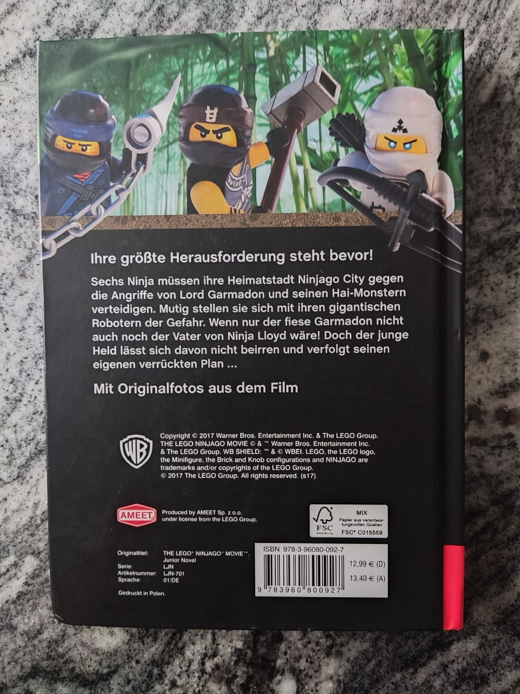 Bücher: Lego THE NINJAGO MOVIE – Gebraucht aus Chur von Nisami 6