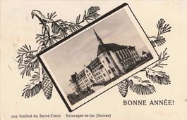 Institut du sacre coeur Estavayer le lac