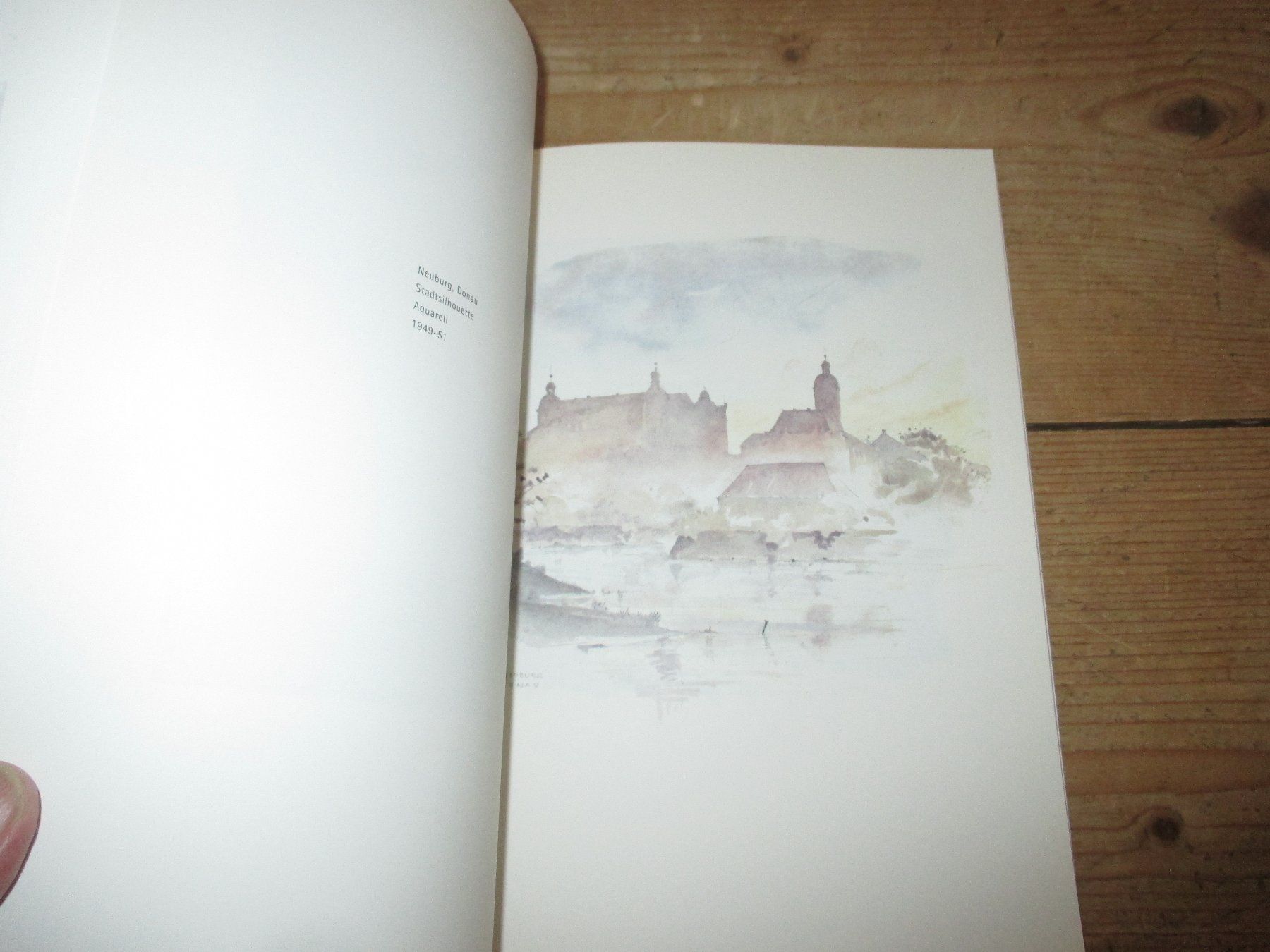 Libri: Der Architekt Alexander von Branca – Usato da Flims - Dorf venduto da Stagediver 6