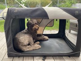 Hundebox Transportbox faltbar für Hunde