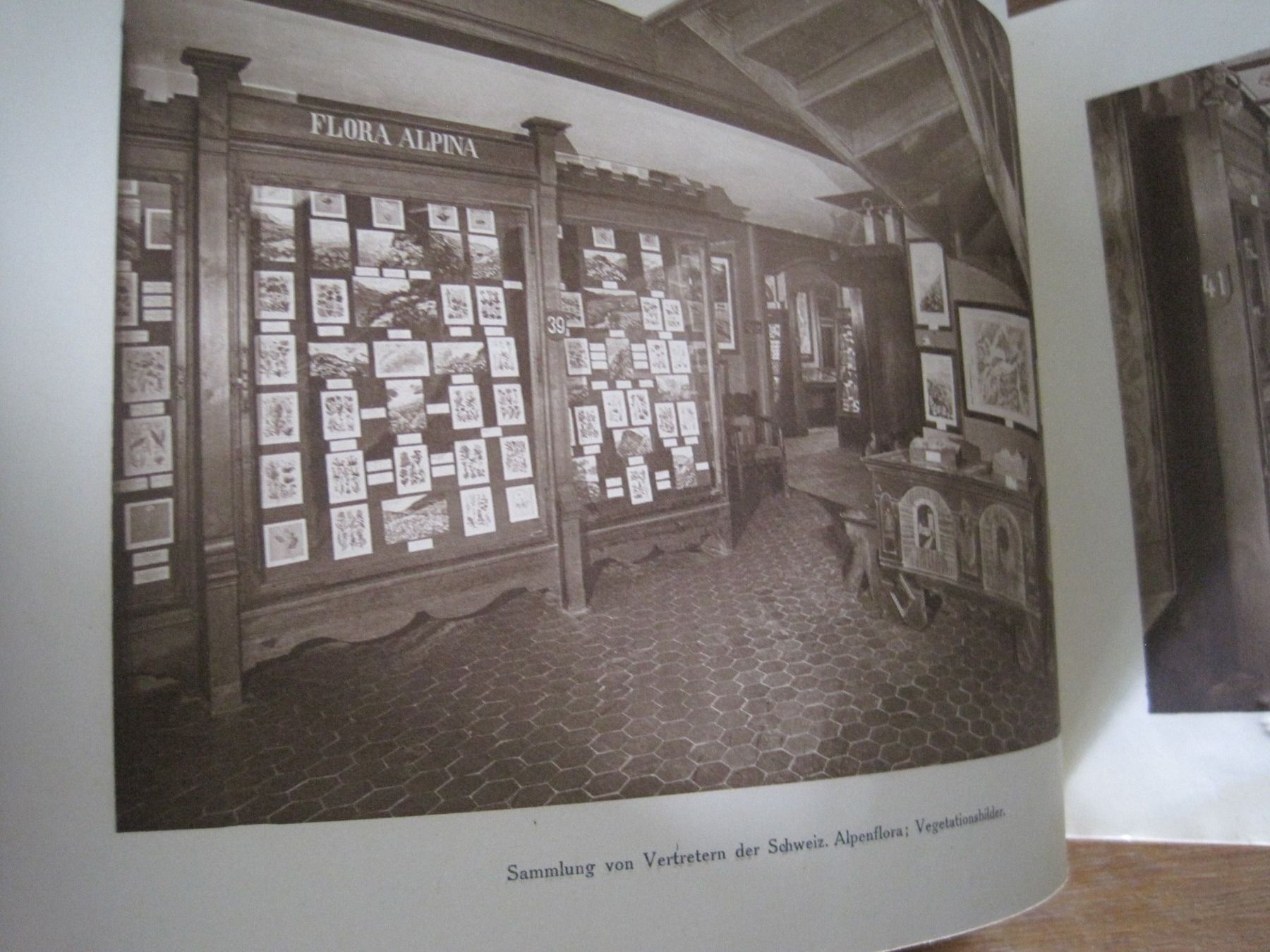 Livres: Der Gletschergarten Luzern 1872 - 1925 – D'occasion à Bischofszell par Joachim-115 3