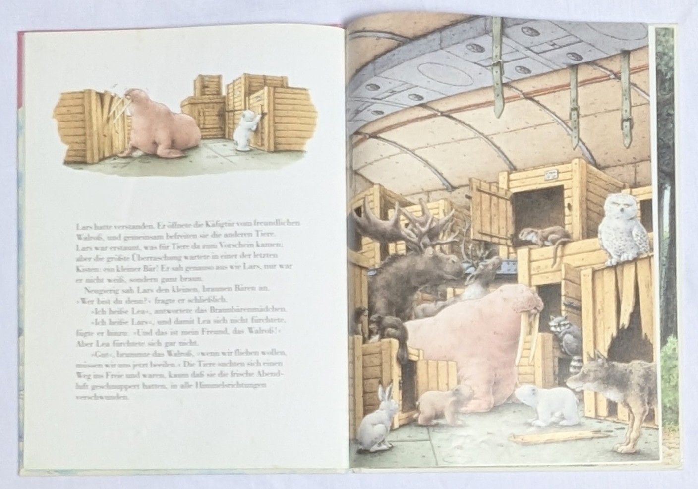 Libri: 2X Bücher - Kleiner Eisbär - Hans de Beer – Usato da Wängi venduto da ABIZONE-86 3
