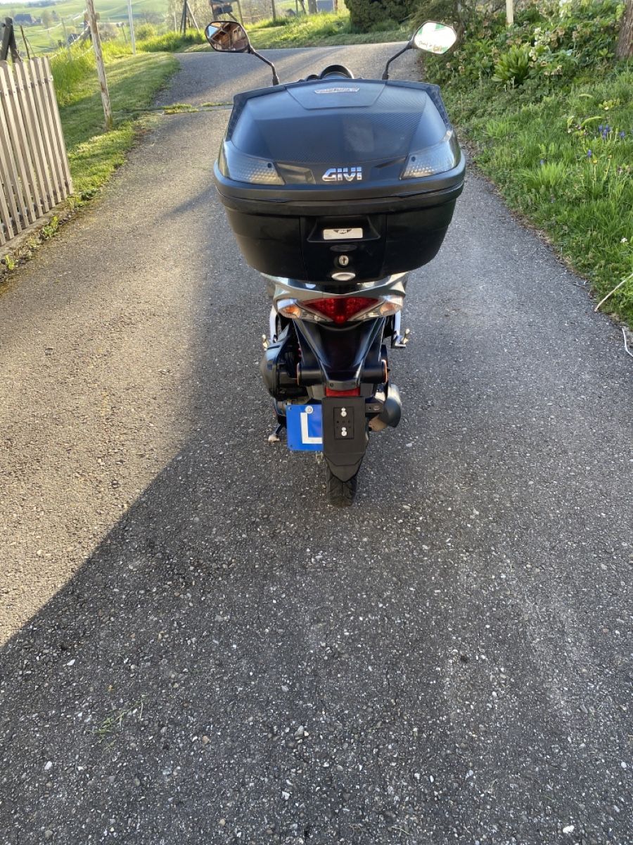 Honda Scooter: Motorroller – Usato da Leimiswil venduto da Fendt_8787 3