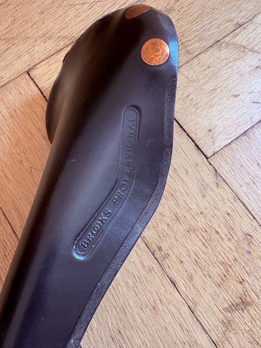 Pièces détachées: Brooks Professional Titanium Saddle – Défectueux à Zürich par kyso