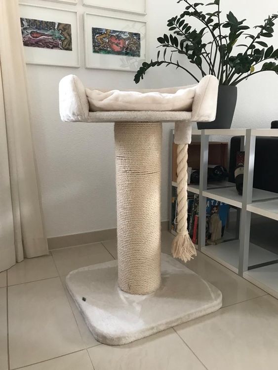 Trixie Kratzbaum XXL "Klara" (Gebraucht) in Liestal fr CHF 60  nur  Abholung auf Ricardo kaufen
