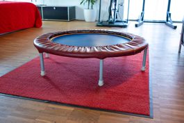 Original Trimilin USppmat Minitrampolin 103 cm