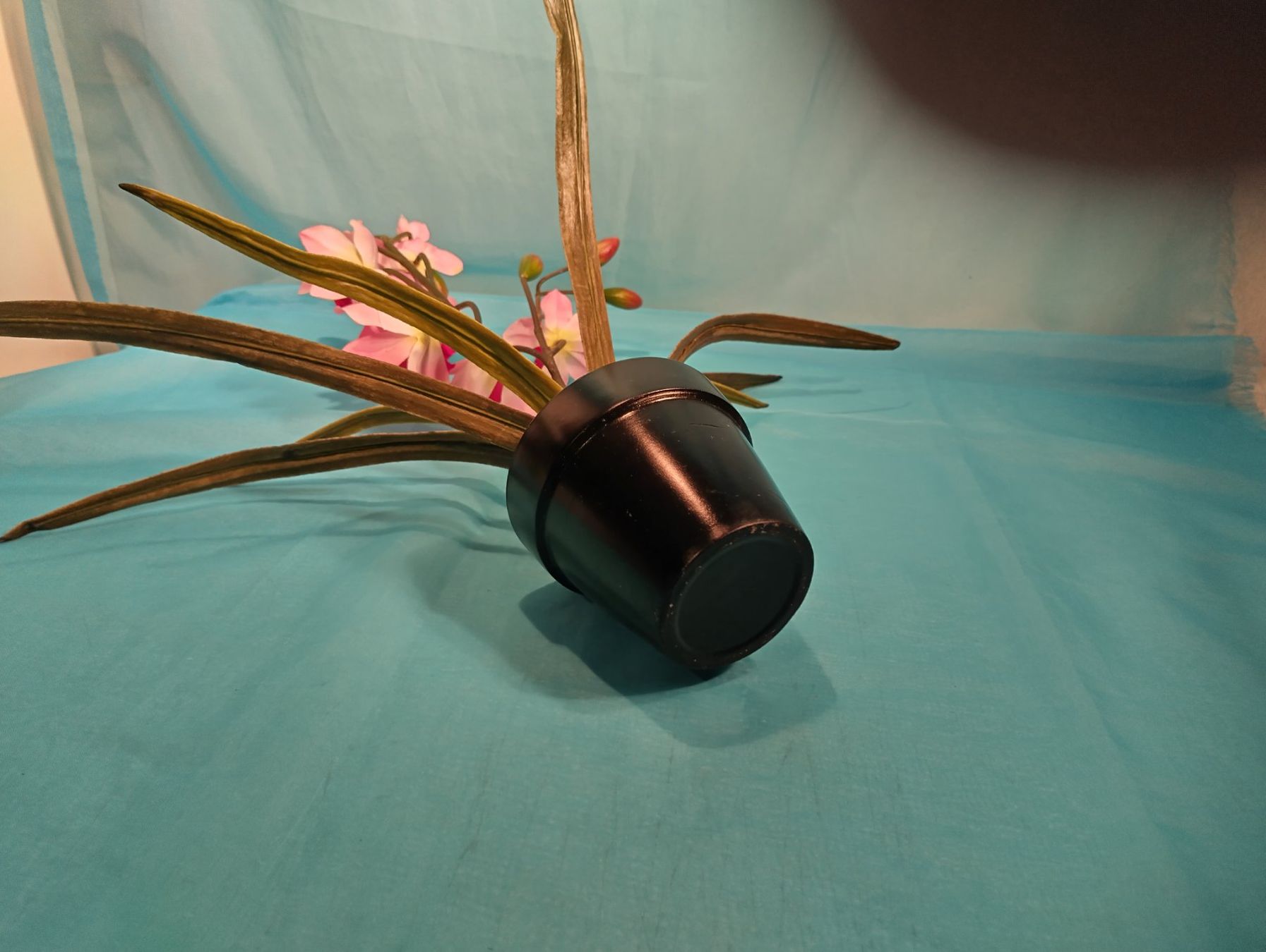 Piante & sementi: Phalaenopsis mit spitzen Blättern, rosa und rot, 50cm – Usato da Bellach venduto da JingleCherry 3