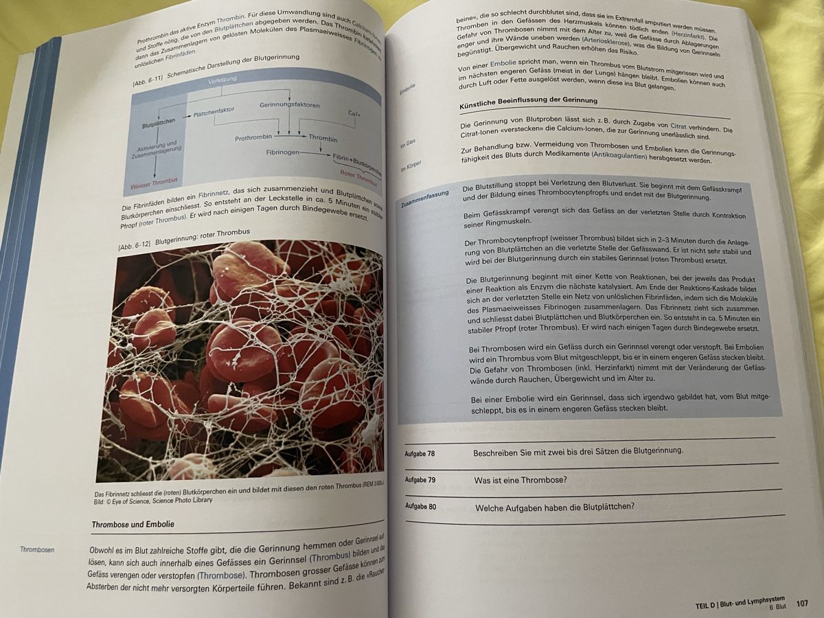 Libri: Humanbiologie 1 excellent condition – Usato da Waedenswil venduto da Paps04 2