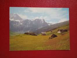 Safien-Thalkirch Graubünden gg Weisshorn und Talabschluss