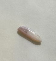 Belemnite opalisierte Fossilie      Opal       TOP  UNIKAT