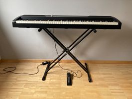 E Piano Korg SP- 170 S mit Ständer