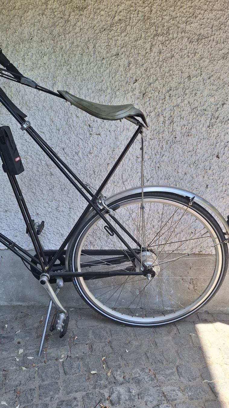 Biciclette: Pedersen Hängesattelvelo > ein Hingucker – Usato da Hinwil venduto da dun_tt2z 5