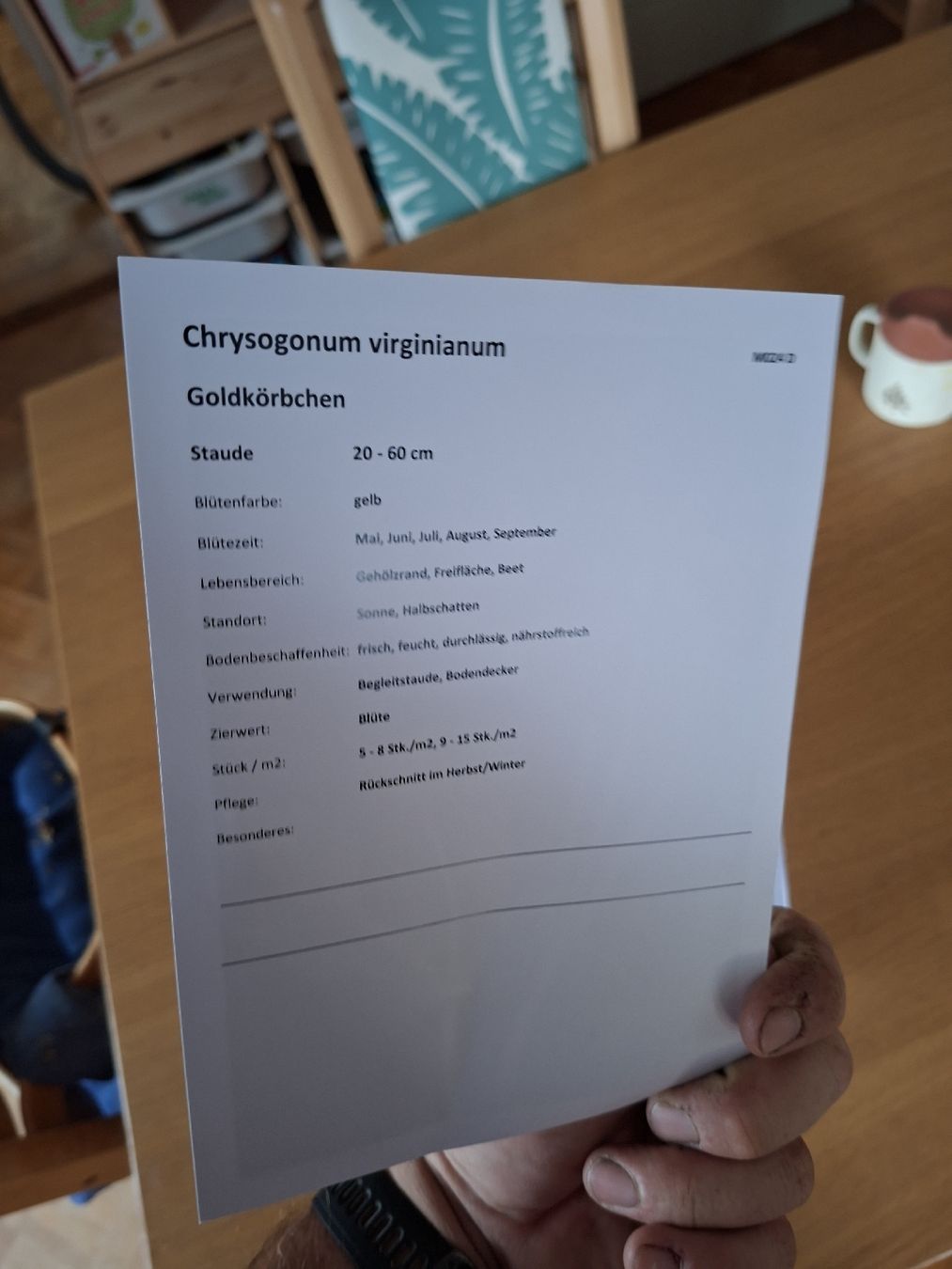 Libri: Pflanzenkarten Simon Gfeller  – Usato da Oftringen venduto da Fabian279 1