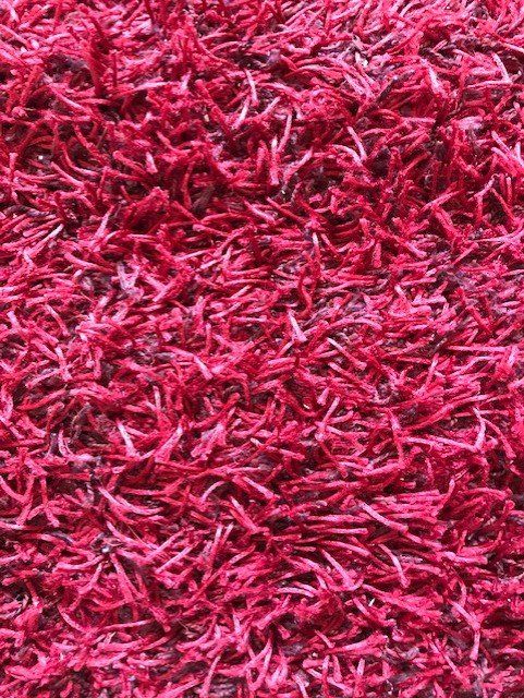 Teppiche: Roter Teppich in gutem Zustand – Gebraucht aus Buttisholz von _laaruu__