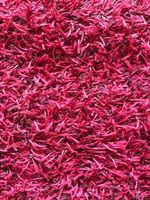 Roter Teppich in gutem Zustand