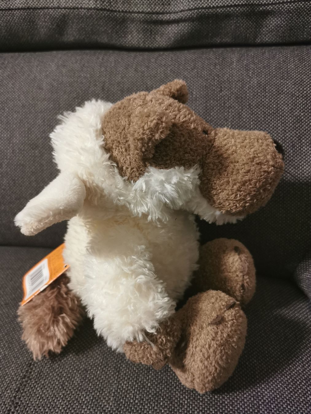 Nici Giocattoli: Plüschtier Wolf im Scharfspelz Nici 28cm – Nuovo (secondo la descrizione) da Buchs SG venduto da and_s6ps 1
