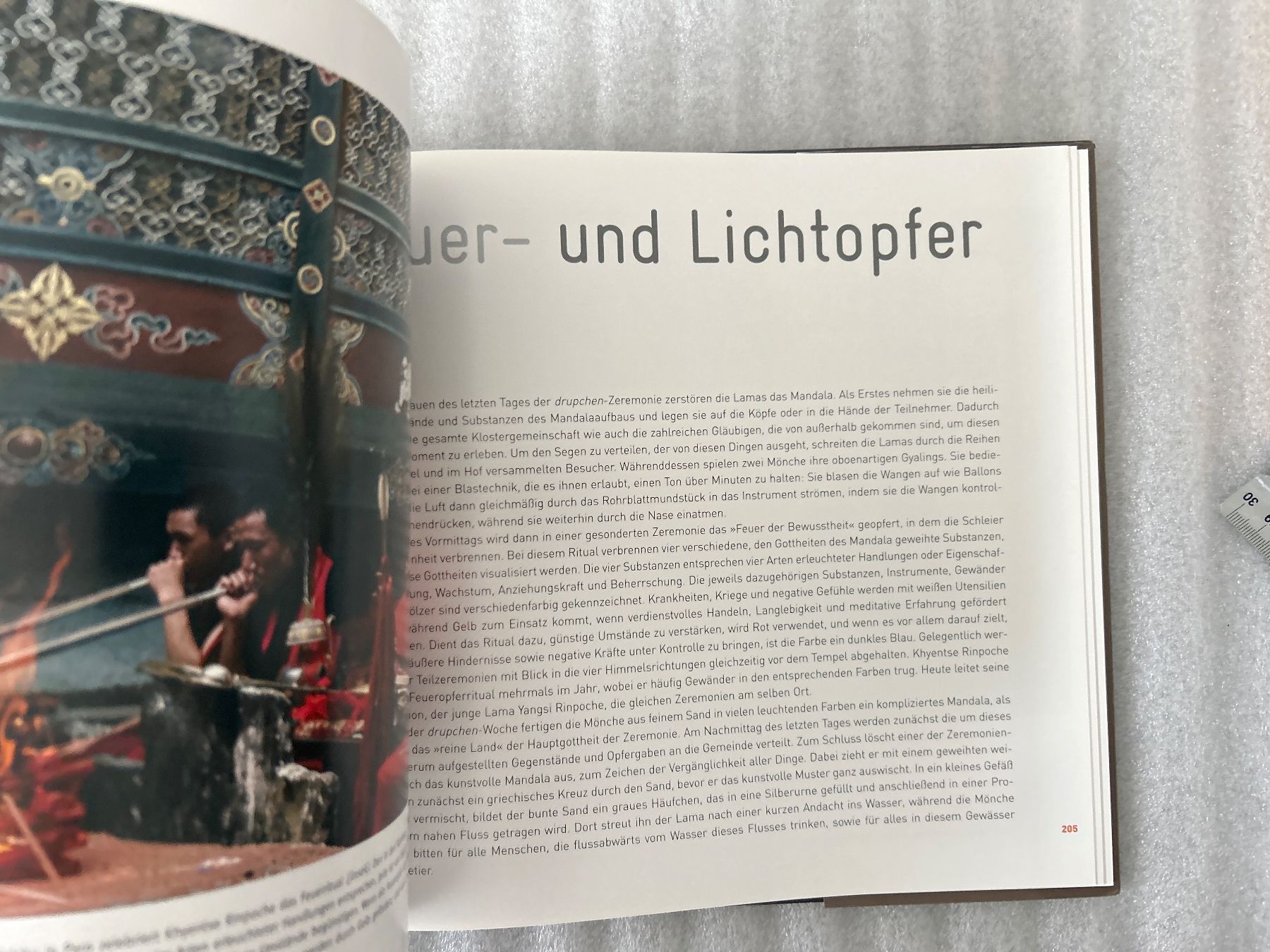Libri: Bhutan - Bildband von Matthieu Ricard – Usato da La Chaux-de-Fonds venduto da jacq_LaTsch0 4