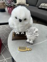 Harry Potter Hedwig