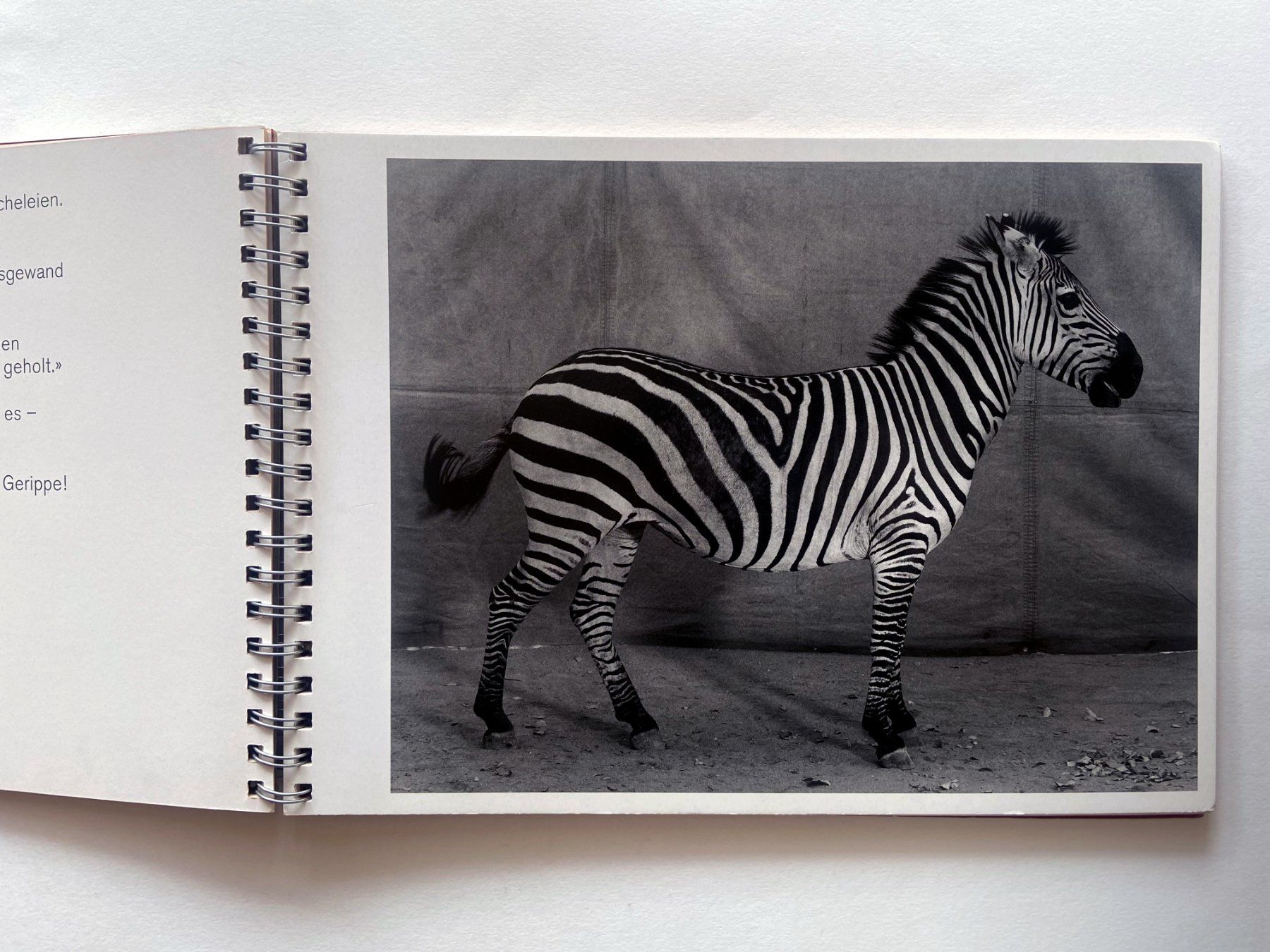 Libri: «Klick!», sagte die Kamera. Balthasar Burkhard. 1997/2000. – Usato da Zürich venduto da Tulsa1968 1