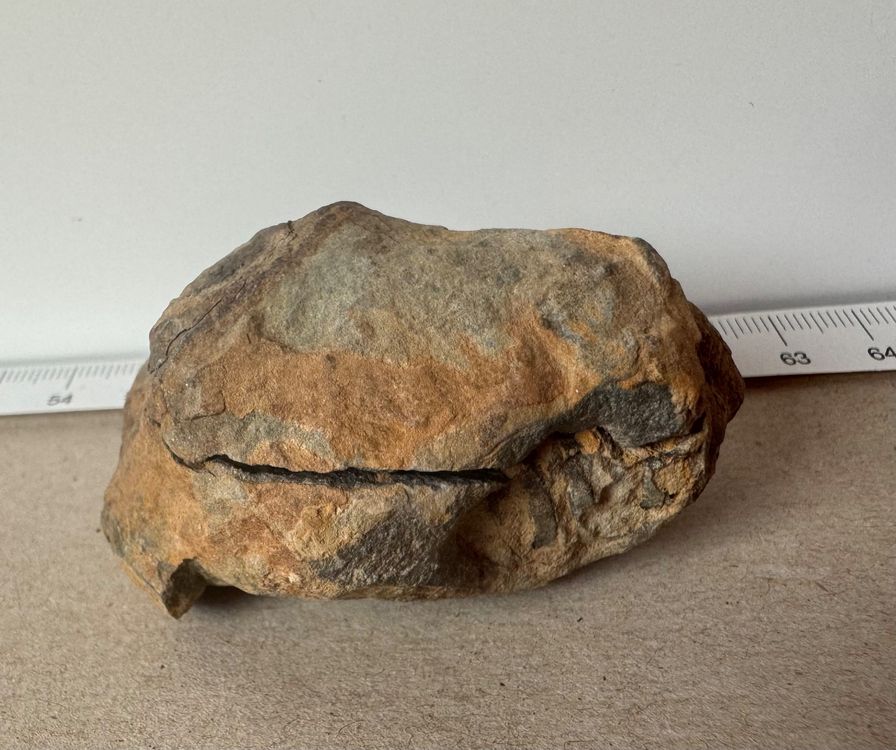 Orthoceras & Ammoniten Fossilienplatte – Naturstein Unikat Aus Marokko, Ca. 40 Cm Groß, Für Sammler & Deko