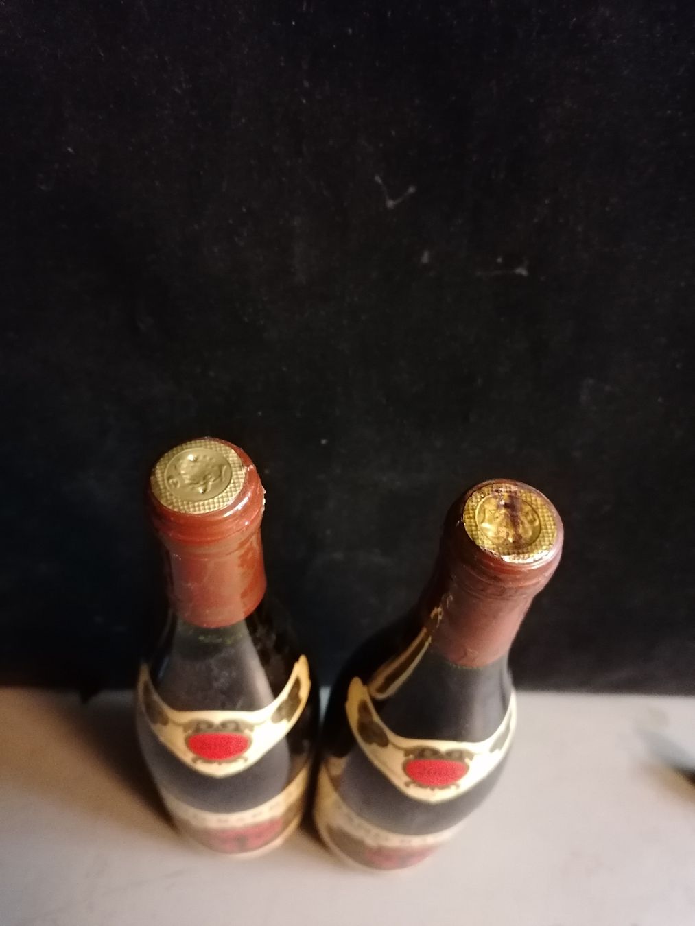 Vins: 2 x Sang Barbare Dôle du Valais 2001/2002 AOC – Neuf (Voir description) à Genève par Leboucheoreilles 2