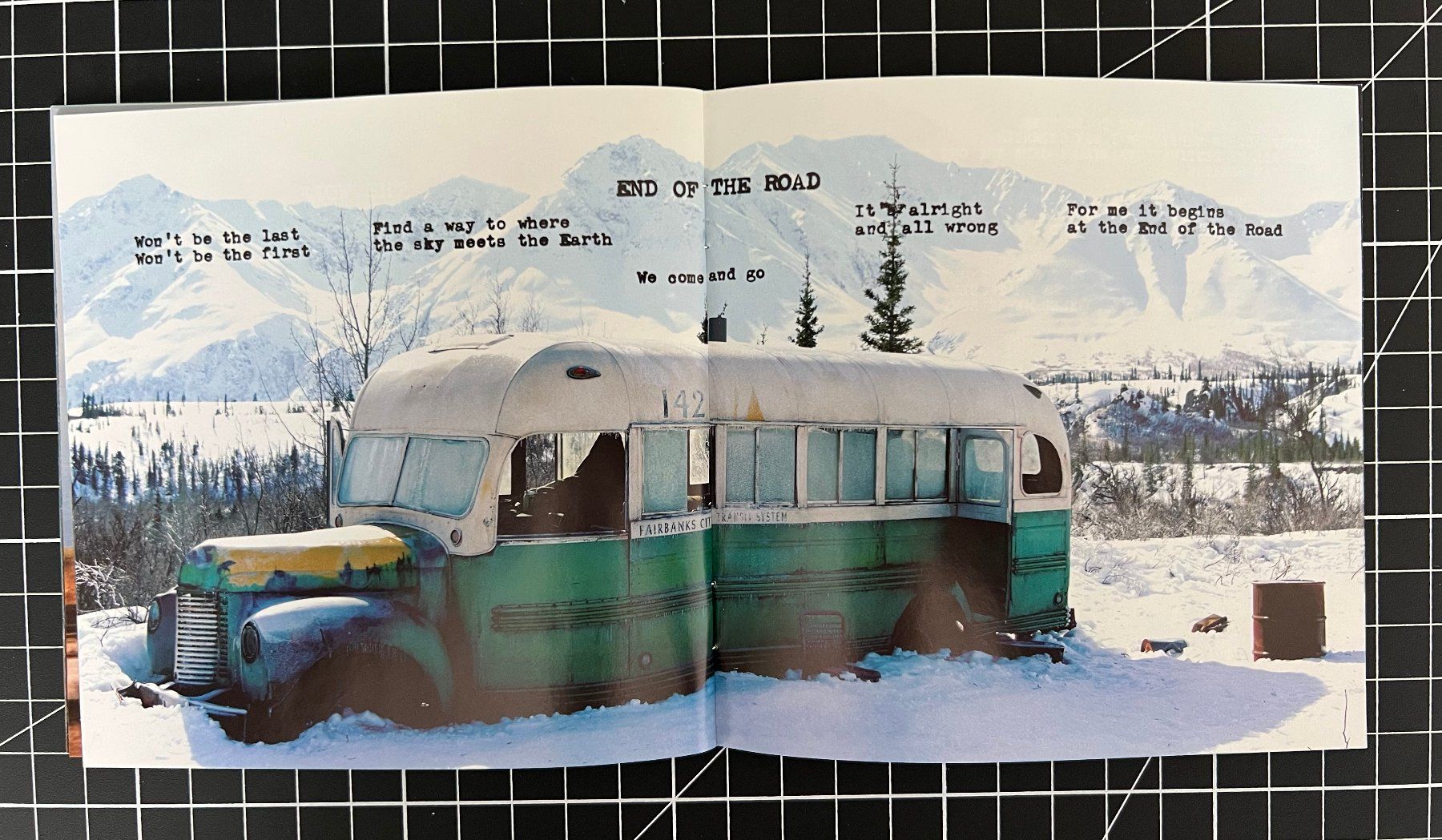 CD: CD Eddie Vedder - Into the Wild – Usato da Ostermundigen venduto da iFonso 8