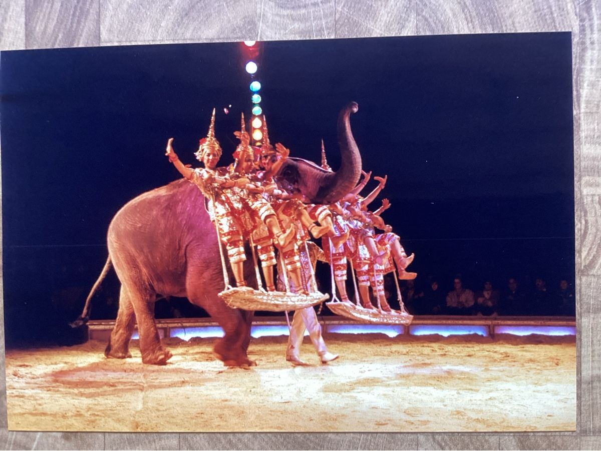 Posters & Illustrations: Circus Knie Foto 1988 – D'occasion à Reichenbach i. K. par astra2010