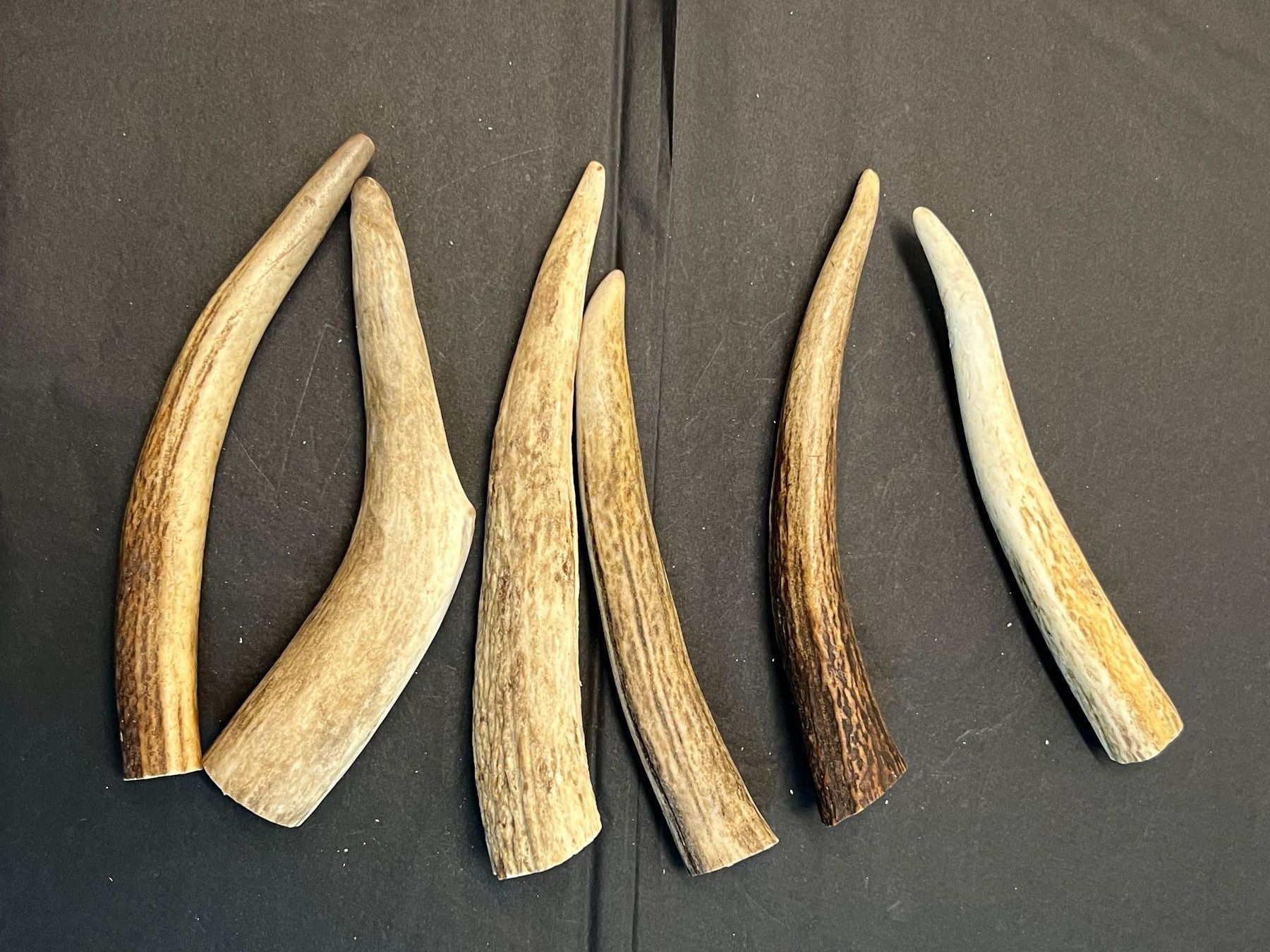 Kit bricolage: Hirsch Geweih Horn Hirschgeweih Spitzen 16-20cm – Usato da Vaduz venduto da hirschjager