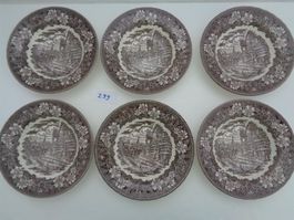 6 Suppenteller Royal Tudor Ware England