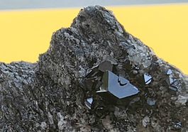 Oktaeder Magnetit perfekt und Glanz Binntal