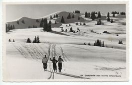 MONTS CHEVREUILS Rest. Ski-Lift - Ski-Läufer