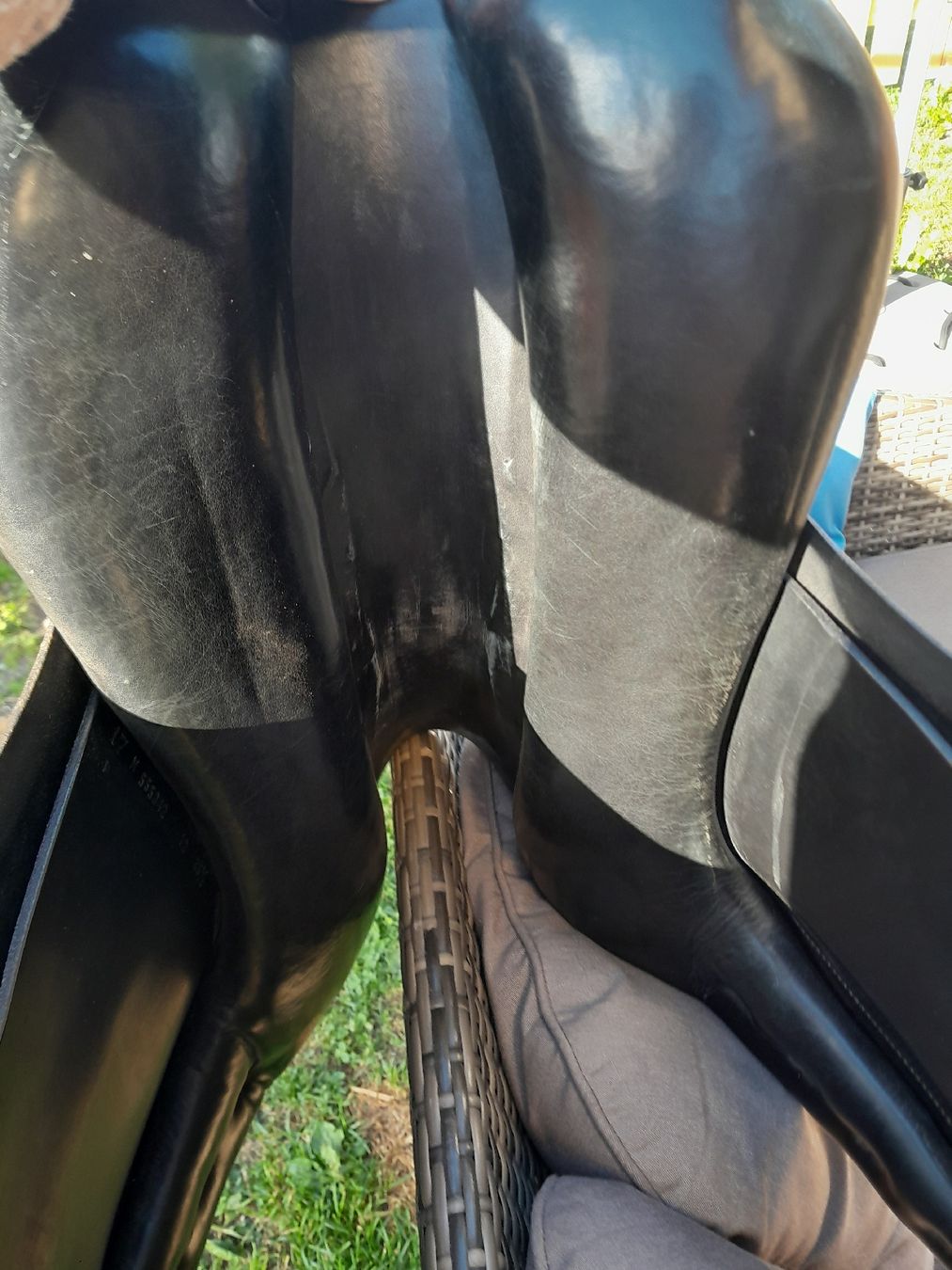 Selle & Accessori: Cobra Dressursattel – Usato da Davos Frauenkirch venduto da reg_95gr 2