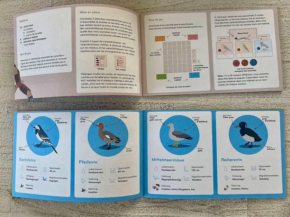Giochi: Jeu de société Fly Home – Nuovo (secondo la descrizione) da Neuchâtel venduto da duprazs 2