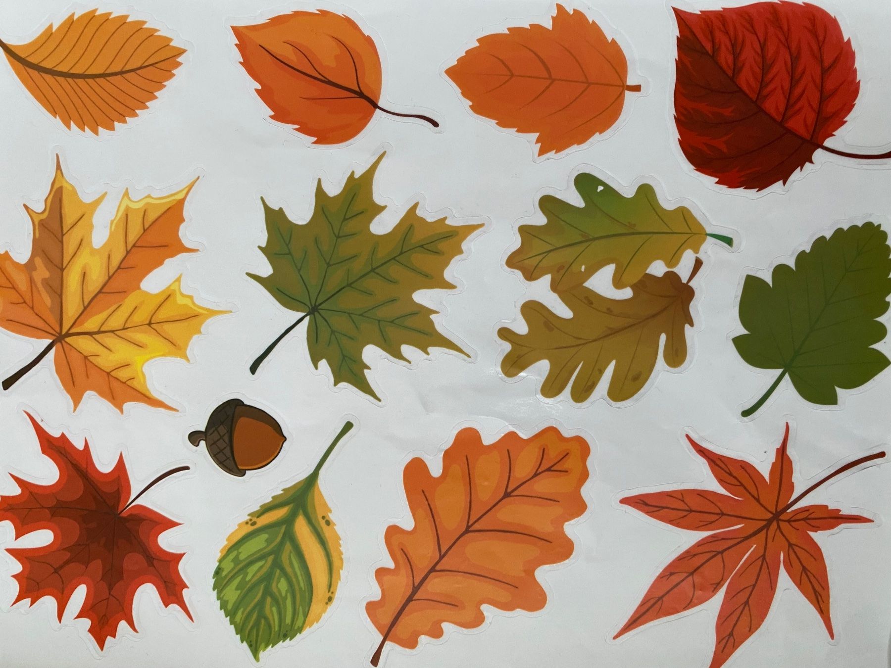 Sticker: 4x A4 Herbst Fenster Sticker – Usato da Trachslau venduto da M_Schmid81 4