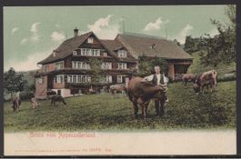 Gruss vom Appenzellerland    1908