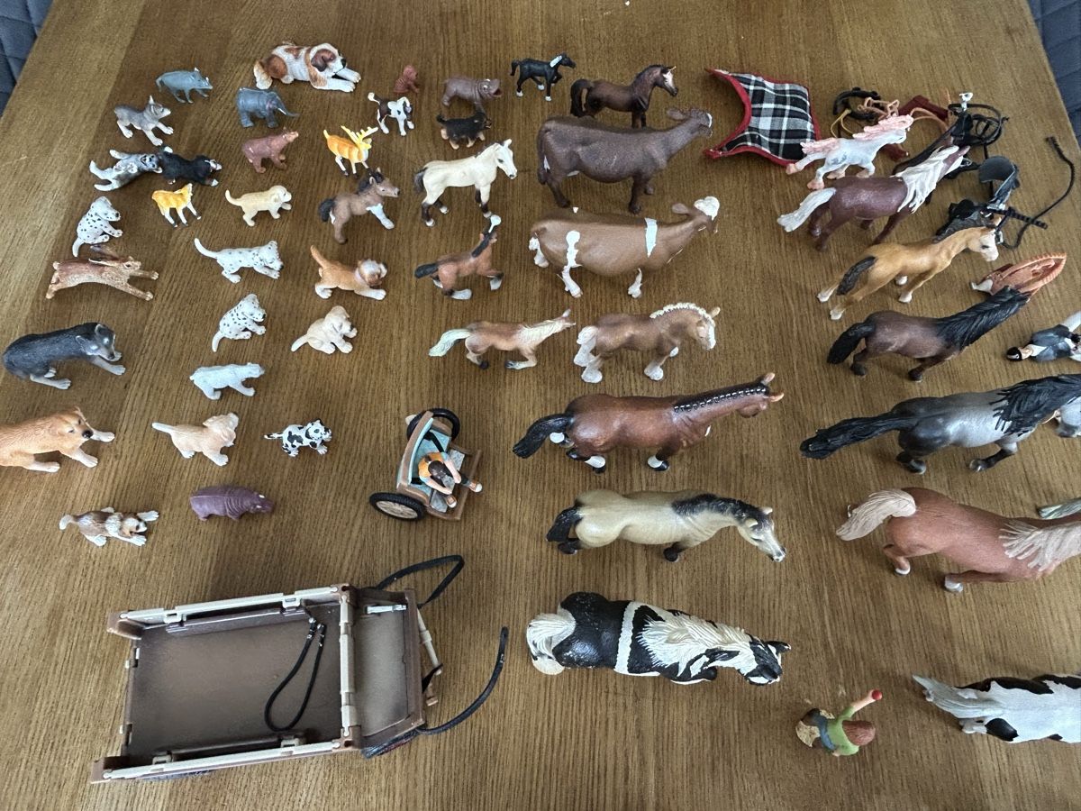 Schleich Figuren: Schleich Pferde Sammlung mit Zubehör – Gebraucht aus möhlin von Caja1 4