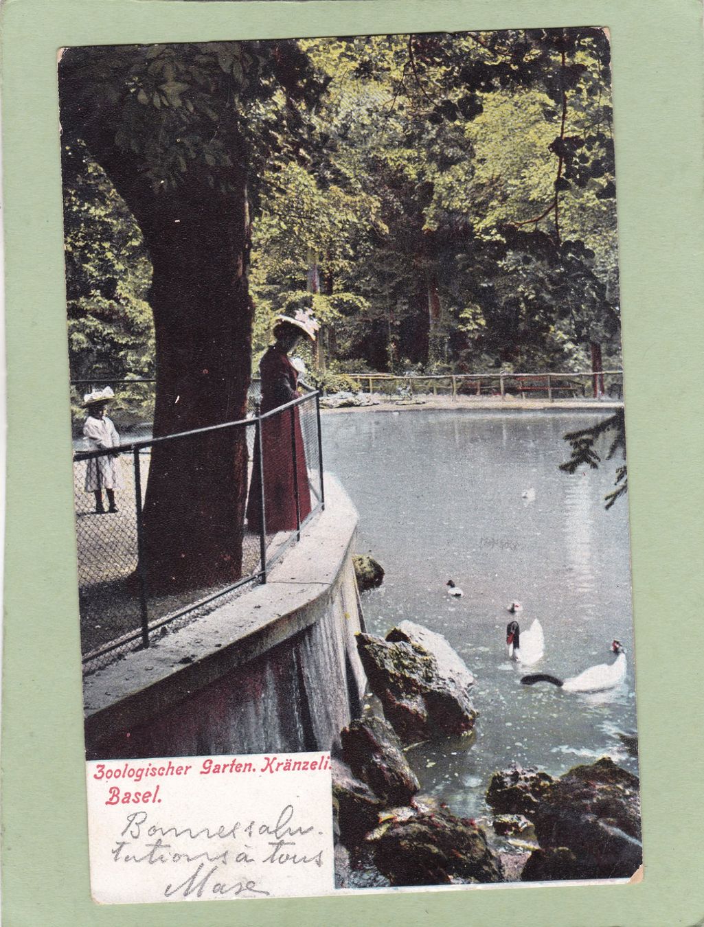 Ansichtskarten: Basel Zoo Kränzeli 1905 – Defekt aus Herisau von Lisegrat2008