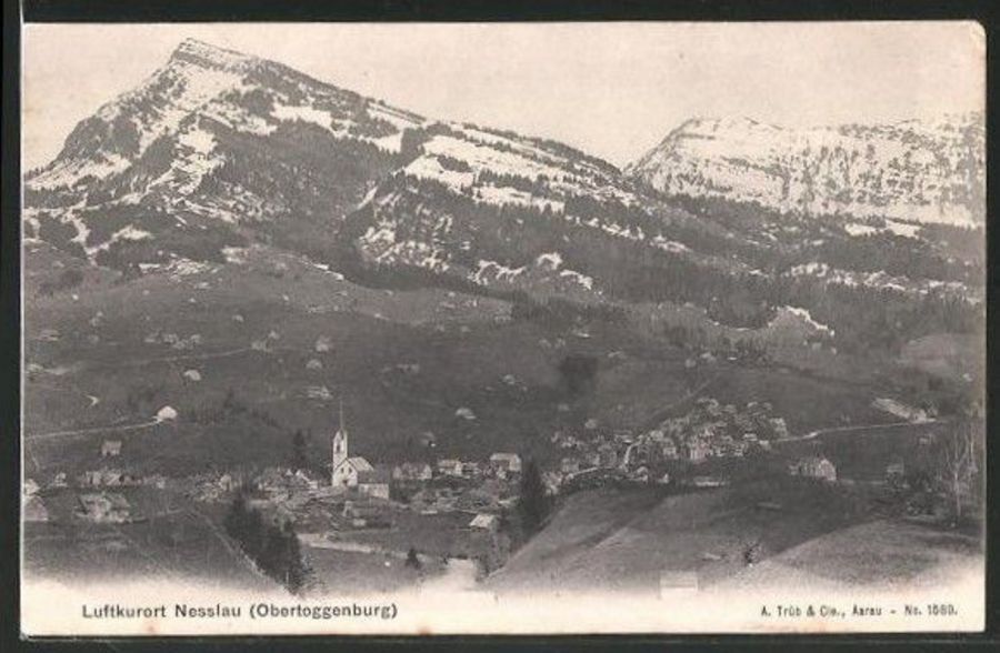 Cartoline postali: Nesslau, gelaufen 1906 – Usato da Frauenfeld venduto da POML