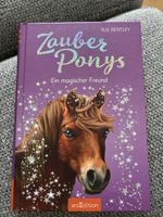 Zauber Ponys - Ein magischer Freund