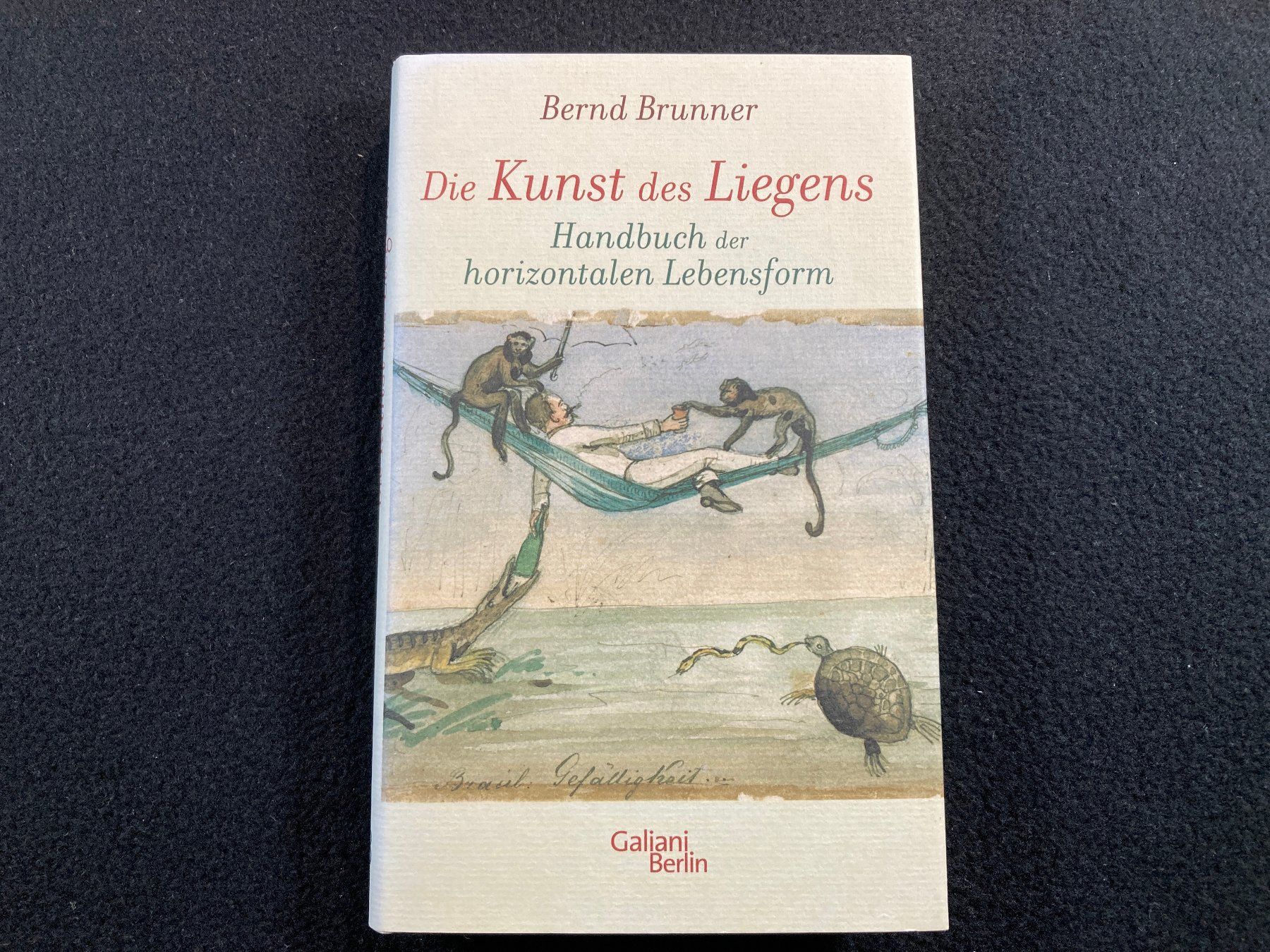 Libri: Bernd Brunner: Die Kunst des Liegens – Usato da Lenzburg venduto da fh1