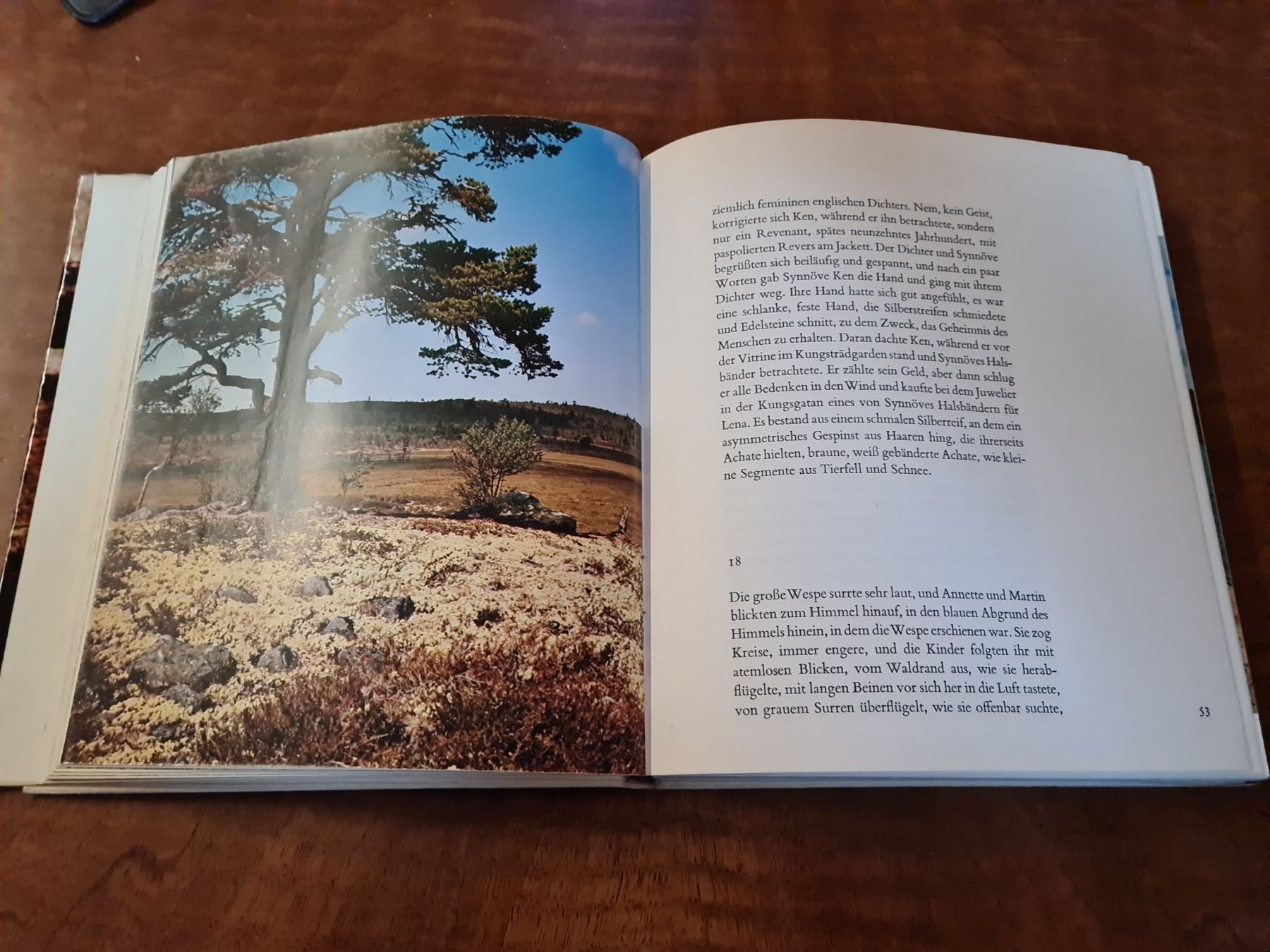 Libri: Wanderungen im Norden – Usato da Erstfeld venduto da Uhu1980 2