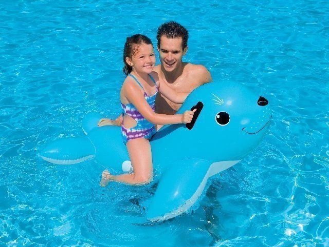 Spielzeuge: INTEX Seerobbe seltenes Motiv!! – Neu und originalverpackt aus Wynau von Intexpool24