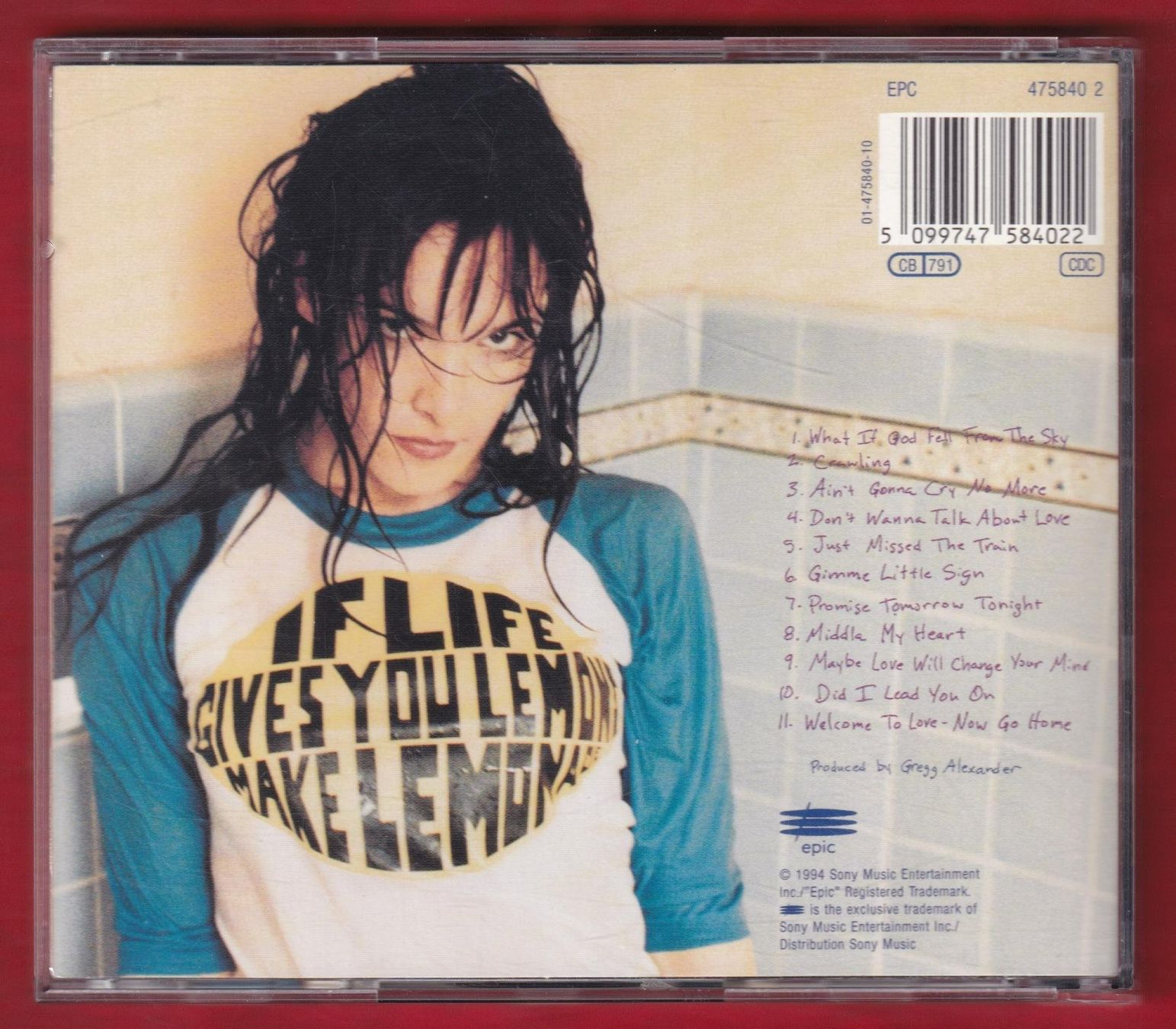 CDs: Danielle Brisebois - Arrive All Over You (CD) – Gebraucht aus Zürich von Pfluftl2000 1