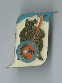 Placchette & Badge: Berner Oberländischer Skiverband - Pin – Usato da Zürich venduto da t24_de