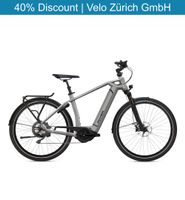 Flyer Gotour6 3.10