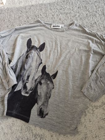 Langarmshirt Molo grau Pferdemotiv Grösse 110