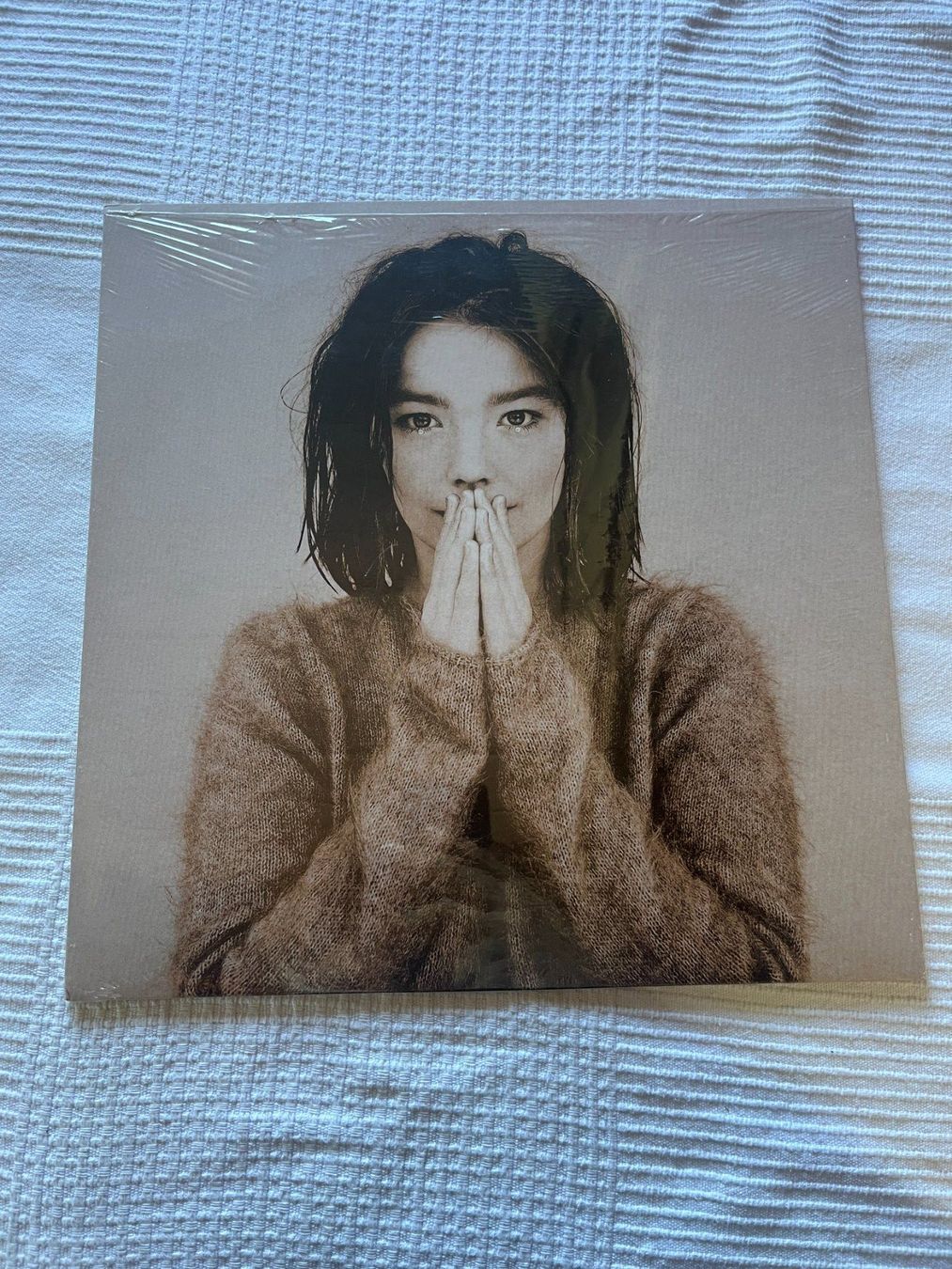 Schallplatten: Björk - Debut Vinyl LP – Gebraucht aus Effretikon von ChrisLamberger