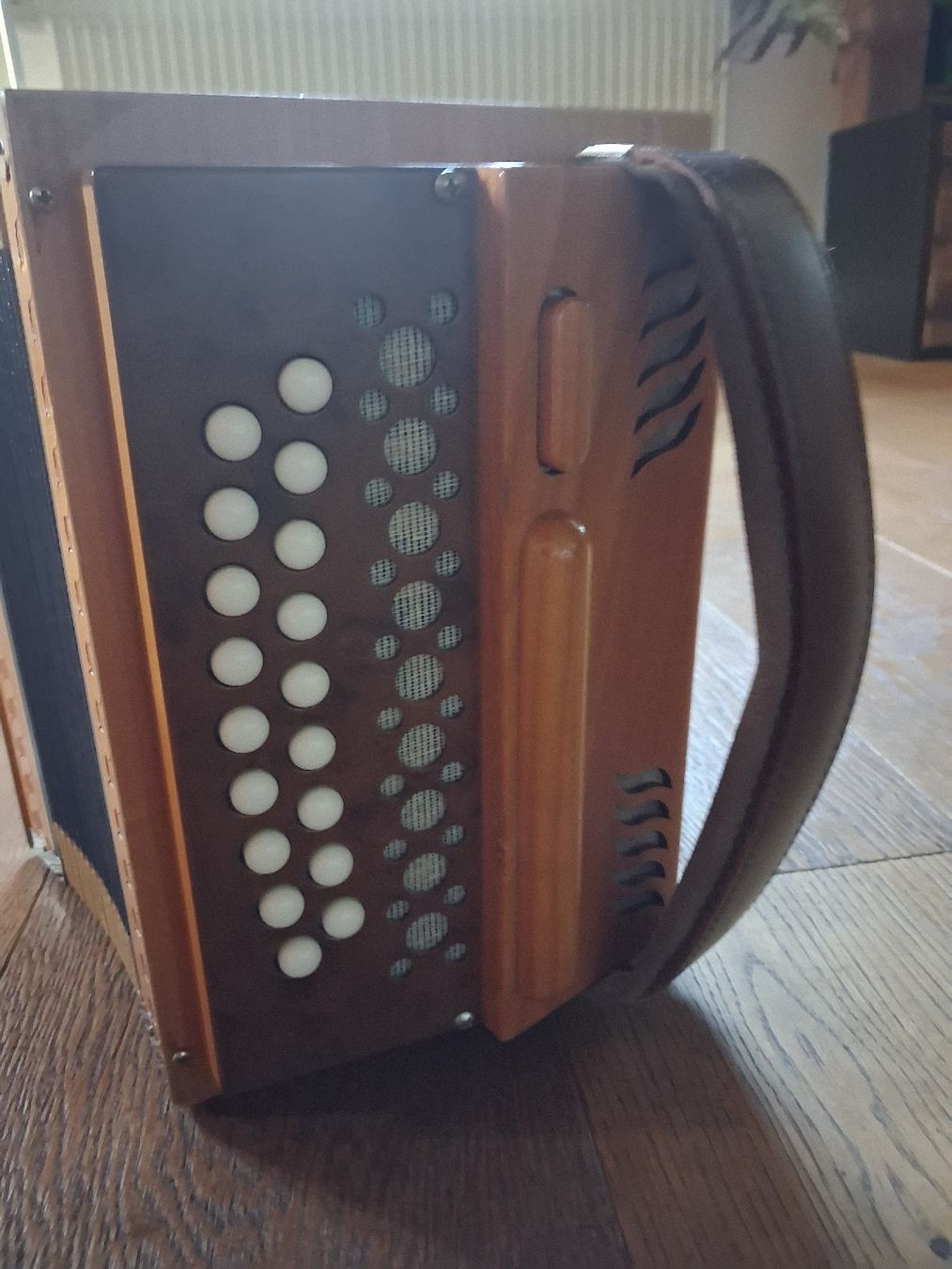 Instruments de musique: Schwyzerörgeli – D'occasion à Willerzell par januka 2